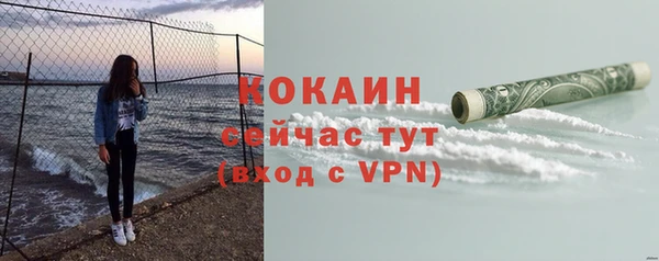 молекула духа Няндома
