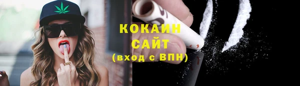молекула духа Няндома