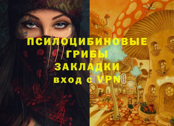 трава Арсеньев