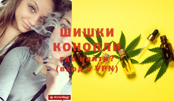 PSILOCYBIN Нязепетровск